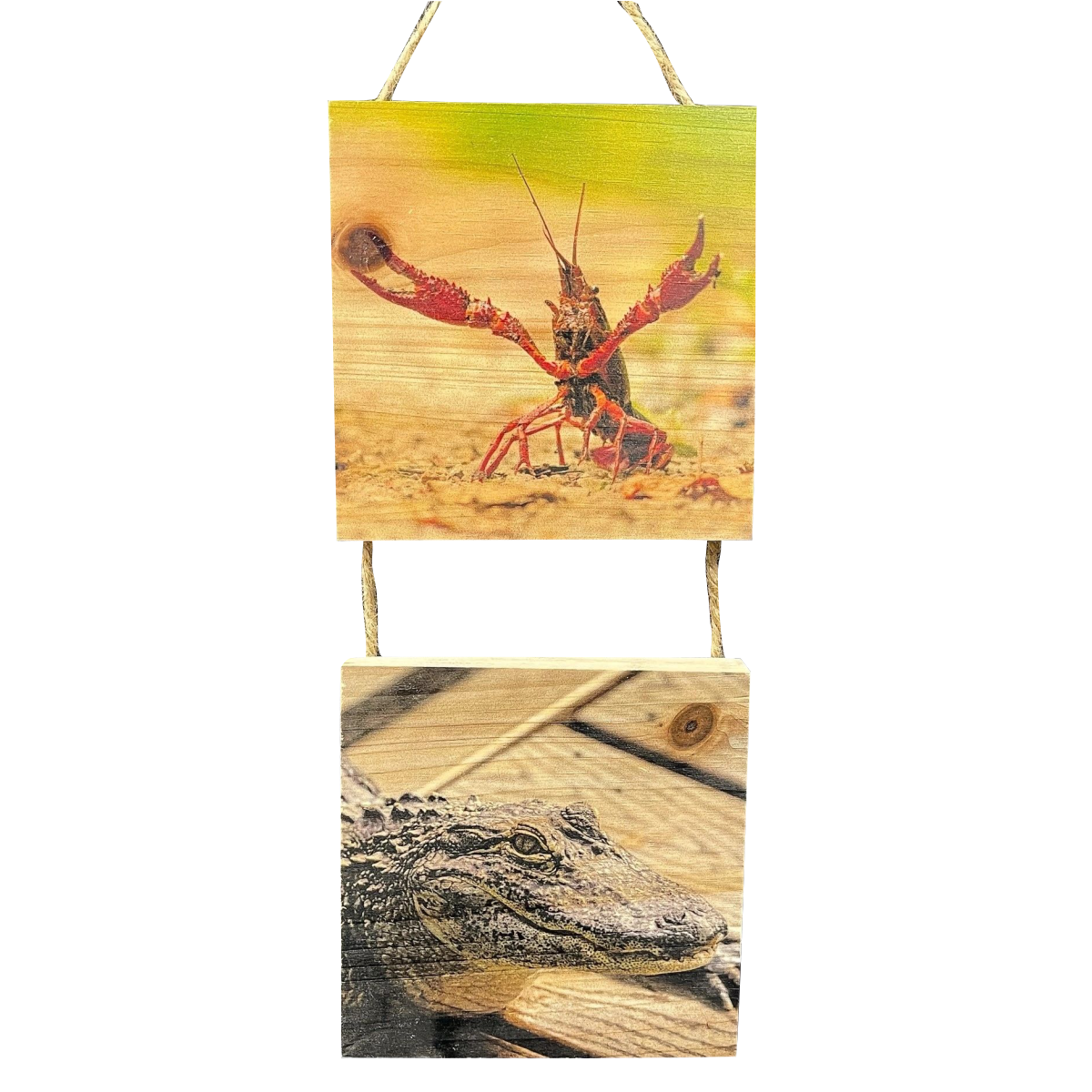 5"X 5" Printed Hanging Plaque Set