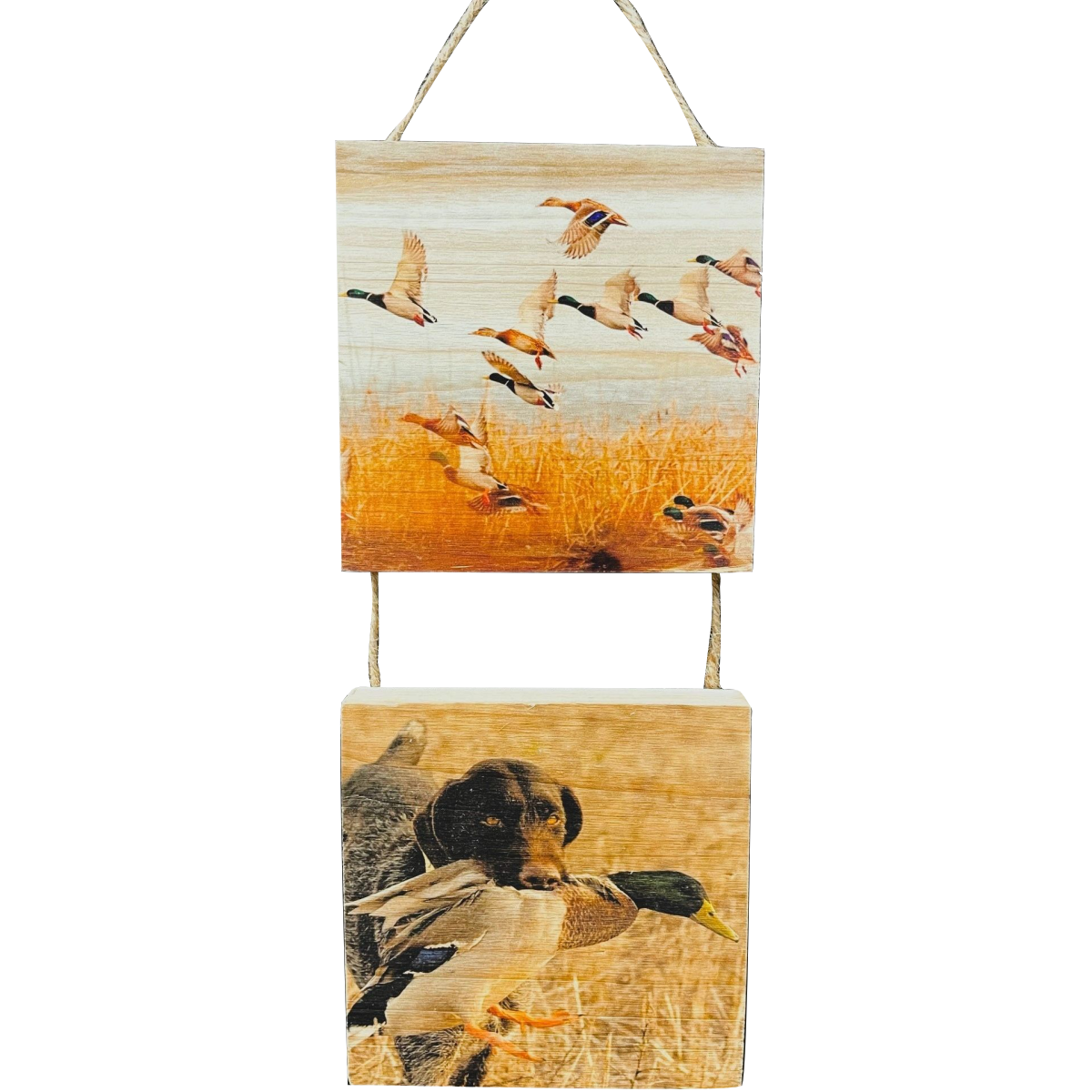 5"X 5" Printed Hanging Plaque Set