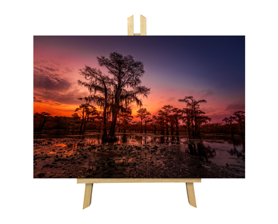 12" Printed Hanging Plaque--Louisiana